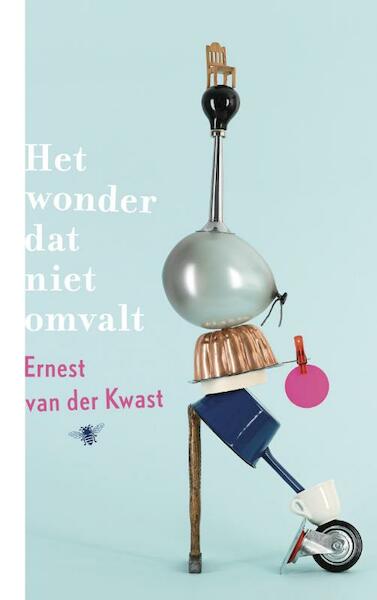 Het wonder dat niet omvalt - Ernest van der Kwast (ISBN 9789023498339)