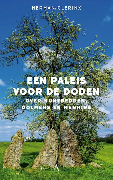 Een paleis voor de doden - Herman Clerinx (ISBN 9789025307110)