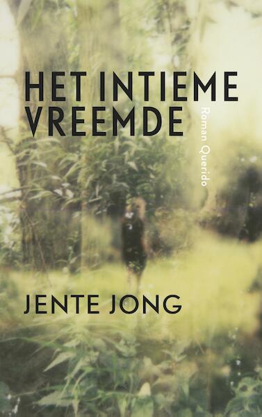 Het intieme vreemde - Jente Jong (ISBN 9789021407456)
