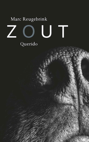 Zout - Marc Reugebrink (ISBN 9789021415352)