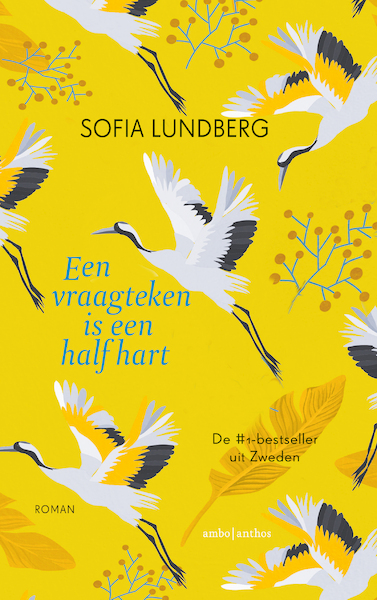 Een vraagteken is een half hart - Sofia Lundberg (ISBN 9789026341687)