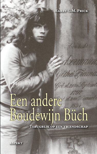Een andere Boudewijn Buch - Harry G.M. Prick (ISBN 9789464622393)