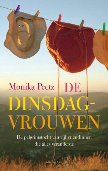 Dinsdagvrouwen - Monika Peetz (ISBN 9789047202707)