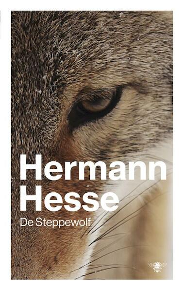 Steppewolf - Hermann Hesse (ISBN 9789023495901)