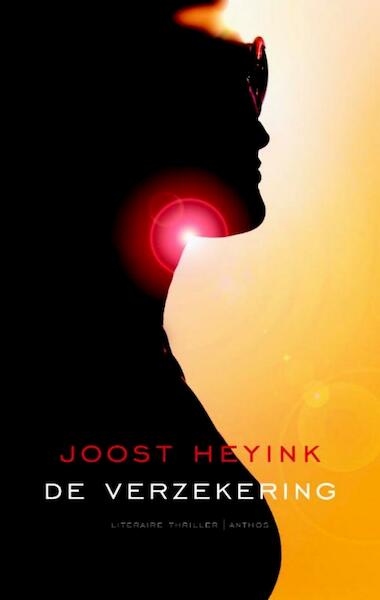 De verzekering - Joost Heyink (ISBN 9789041420381)