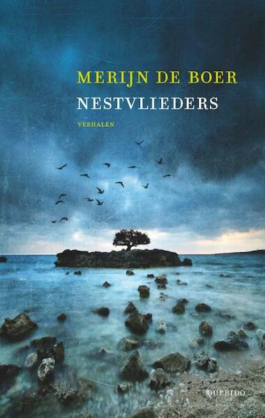Nestvlieders - Merijn de Boer (ISBN 9789021406688)