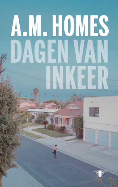 Dagen van inkeer - A.M. Homes (ISBN 9789403129808)