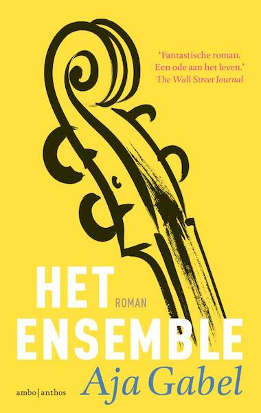 Het ensemble - Aja Gabel (ISBN 9789026340512)