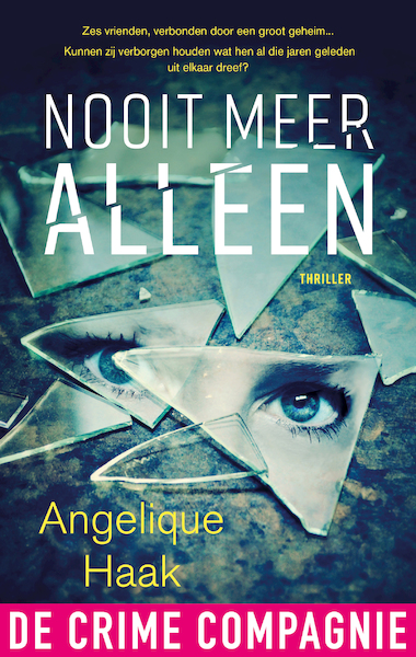 Nooit meer alleen - Angelique Haak (ISBN 9789461094674)