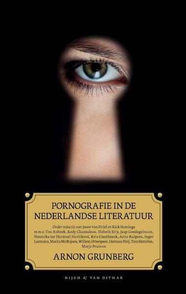 Pornografie in de Nederlandse literatuur - (ISBN 9789038895307)