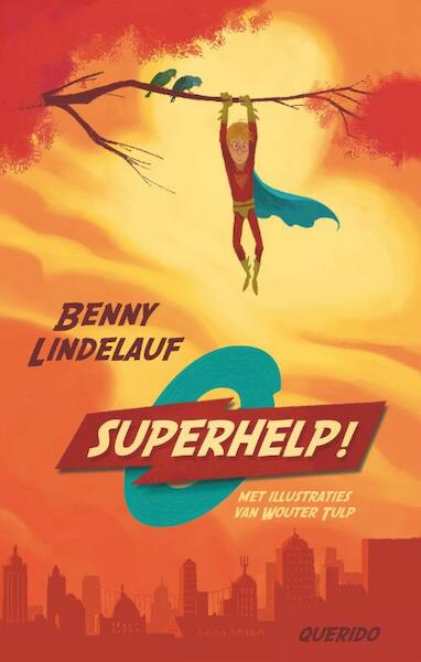 Superhelp - Benny Lindelauf (ISBN 9789045112329)