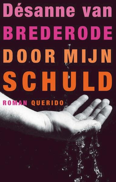 Door mijn schuld - Désanne van Brederode (ISBN 9789021438337)