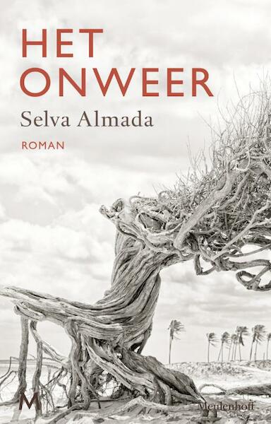 Het onweer - Selva Almada (ISBN 9789029089951)