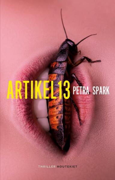 Artikel 13 - Petra Spark (ISBN 9789089245687)