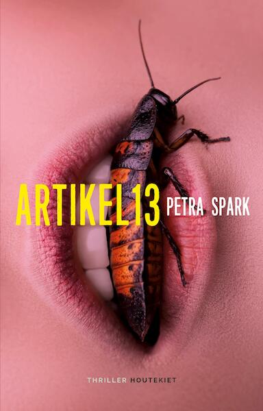 Artikel 13 - Petra Spark (ISBN 9789089245694)