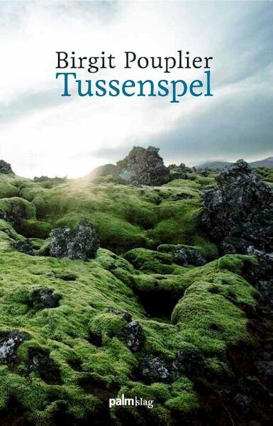 Tussenspel - Birgit Pouplier (ISBN 9789081483889)
