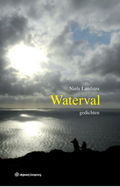 Waterval - Niels Landstra (ISBN 9789461011213)