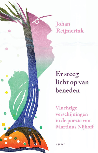 Er steeg licht op van beneden - Johan Reijmerink (ISBN 9789464245936)