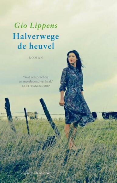 Halverwege de heuvel - Gio Lippens (ISBN 9789020412826)