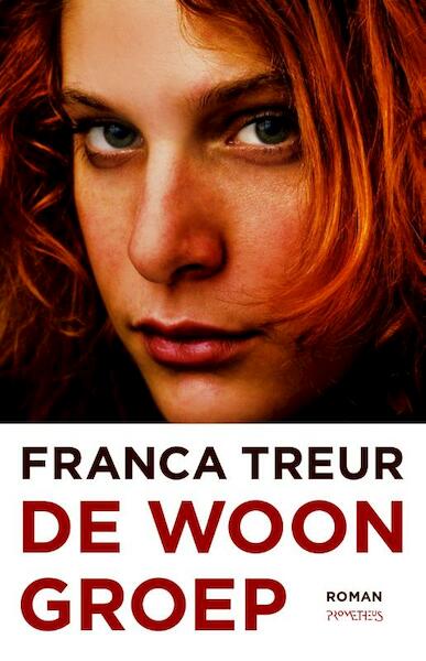 Het nieuwe vuur - Franca Treur (ISBN 9789044616583)
