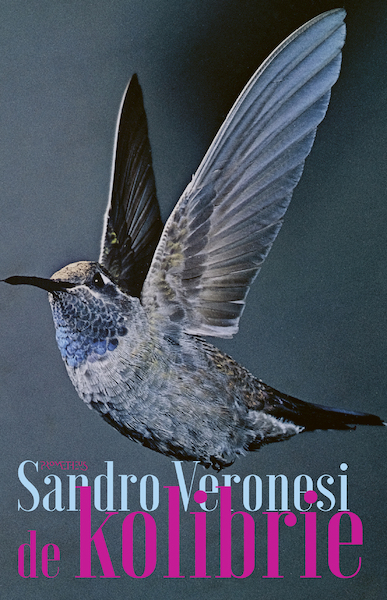 De kolibrie - Sandro Veronesi (ISBN 9789044643909)