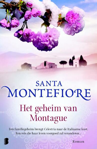 Het geheim van Montague - Santa Montefiore (ISBN 9789022568804)