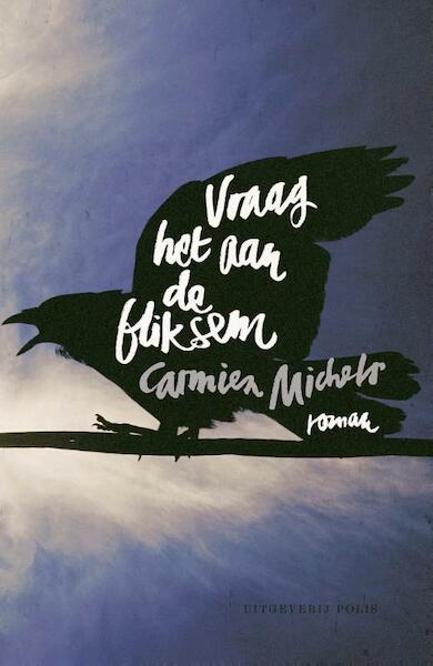 Vraag het aan de bliksem - Carmien Michels (ISBN 9789463100144)