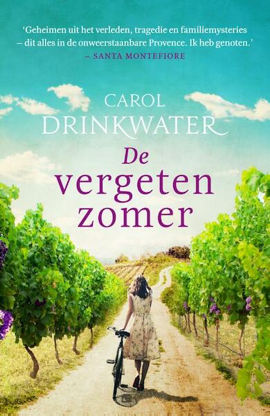 De vergeten zomer - Carol Drinkwater (ISBN 9789400507715)
