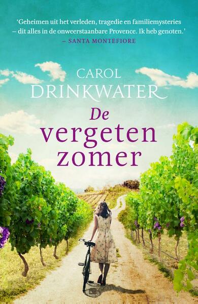 De vergeten zomer - Carol Drinkwater (ISBN 9789400509672)