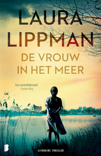 De vrouw in het meer - Laura Lippman (ISBN 9789402314649)