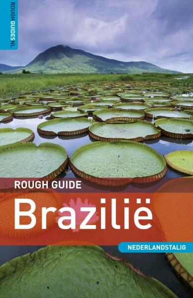 Rough guide Brazilië - David Cleary (ISBN 9789000307715)