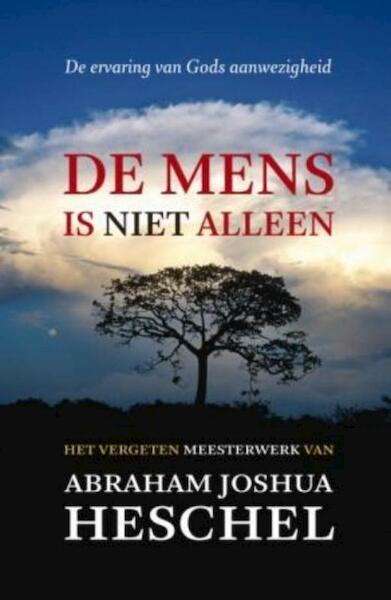 De mens is niet alleen - Abraham Joshua Heschel (ISBN 9789043520874)
