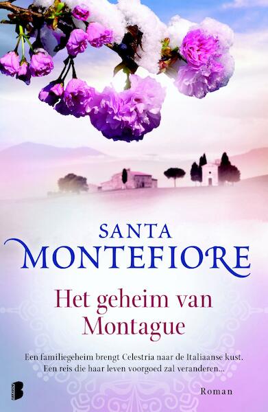 Het geheim van Montague - Santa Montefiore (ISBN 9789460238666)