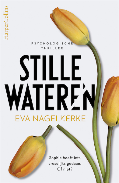 De schaduw van toen - Eva Nagelkerke (ISBN 9789402758412)