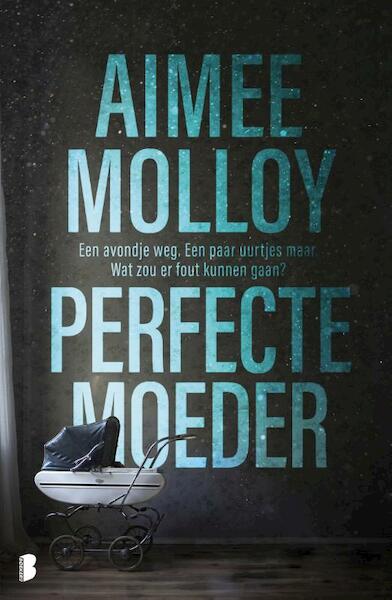 Perfecte moeder - Aimee Molloy (ISBN 9789022582404)
