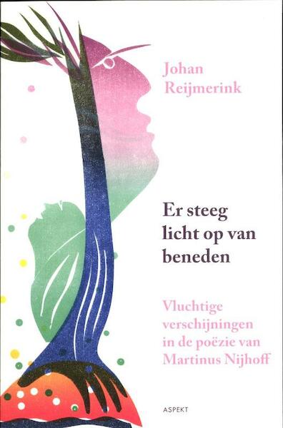 Er steeg licht op van beneden - Johan Reijmerink (ISBN 9789461531070)