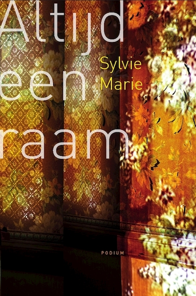 Altijd dat raam - Sylvie Marie (ISBN 9789057596735)