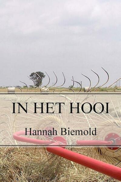 In het hooi - Hannah Biemold (ISBN 9789490645021)