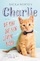 Charlie, de kat die een leven redde