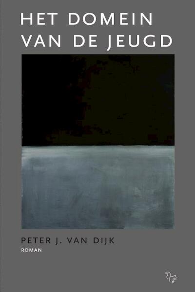 Het domein van de jeugd - Peter van Dijk (ISBN 9789051797930)