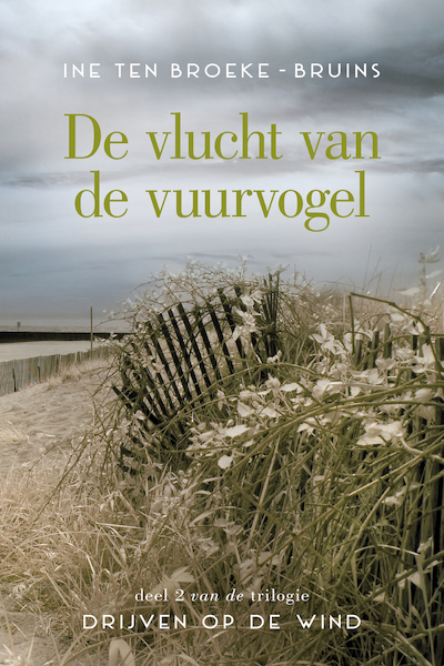 De vlucht van de vuurvogel - Ine ten Broeke-Bruins (ISBN 9789401907873)