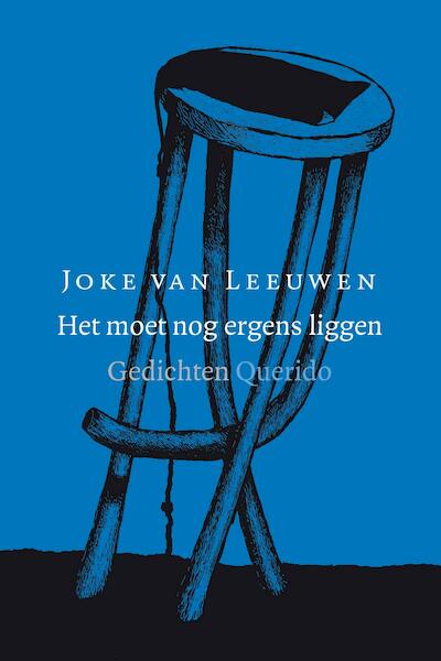 Het moet nog ergens liggen - Joke van Leeuwen (ISBN 9789021403977)