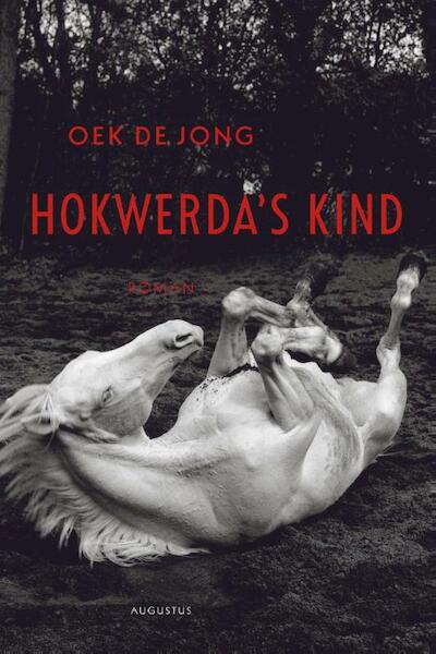 Hokwerda's kind Midprice - Oek de Jong (ISBN 9789045702728)