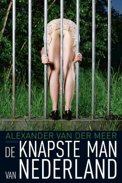 De knapste man van Nederland - Alexander van der Meer (ISBN 9789045704326)