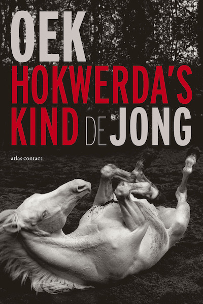 Hokwerda's kind - Oek de Jong (ISBN 9789045702186)