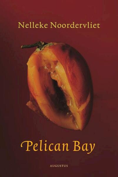 Pelican bay - Nelleke Noordervliet (ISBN 9789045705774)