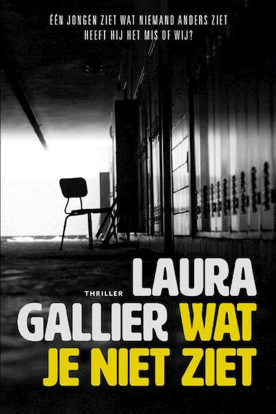 Wat je niet ziet - Laura Gallier (ISBN 9789085203001)