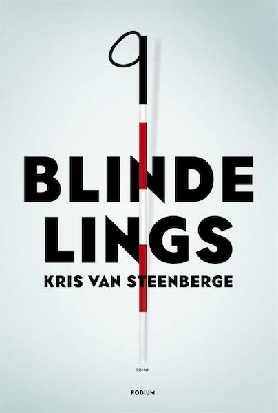 Blindelings - Kris Van Steenberge (ISBN 9789057597817)