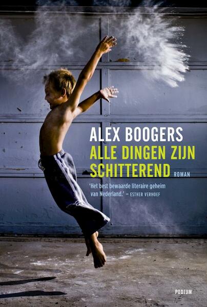 Alle dingen zijn schitterend - Alex Boogers (ISBN 9789057595387)