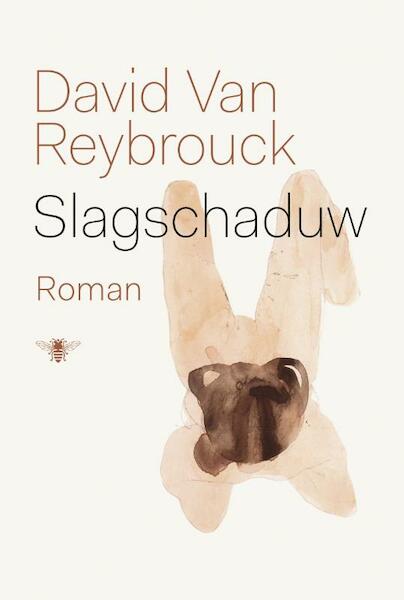 Slagschaduw - David van Reybrouck (ISBN 9789023493877)